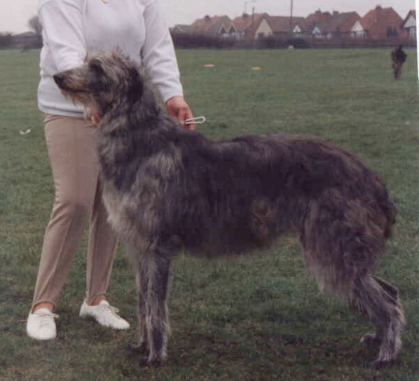  CH.KILBOURNE RUBY