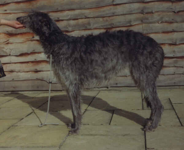  CH.NYREE OF ROTHERWOOD
